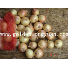 Fresh Yellow Onion Wholesale Price for Selling